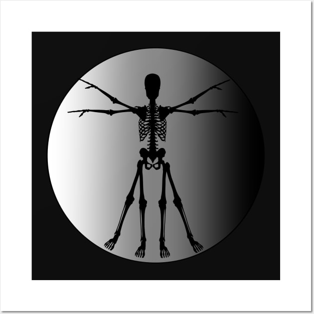 Vitruvian Man Skeleton Wall Art by Slightly Unhinged